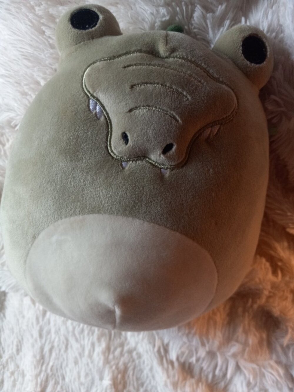 Squishmallows - Picture 8 of 8